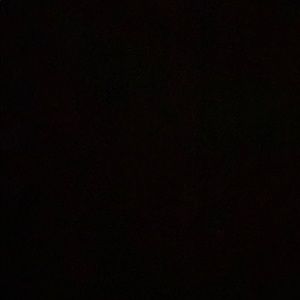 Meet your Posher, Trexie